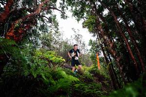 BIB: 
                            <button type="button" onclick="openModal(26202270)" class="btn btn-primary btn-sm float-right btn-popup" data-toggle="modal" data-target=".modal-high-quality">
                        <i class="fas fa-shopping-cart"></i> Add to Cart
                    </button>
                                            <button type="button" onclick="isThisMe(26202270, true)" class="btn btn-success btn-sm float-right btn-popup btn-isme hidden" data-toggle="tooltip" data-placement="bottom" title="นี่คือรูปของคุณใช่ไหม คลิกที่นี่เพื่อเอาเข้าอัลบั้ม">
                        <i class="fas fa-plus"></i> Add to album
                    </button>
                    <button type="button" onclick="isThisMe(26202270, false)" class="btn btn-warning btn-sm float-right btn-popup btn-isnotme hidden">
                        <i class="fas fa-ban"></i> Remove from album
                    </button>